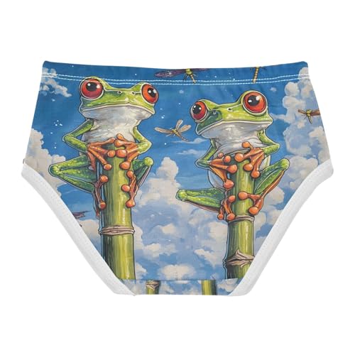 Cute Frogs Dragonfly Toddler Girls's Underwear 2T 202b90172