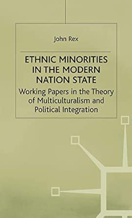 Ethnic Minorities in the Modern Nation State: Working Papers in the Theory of Multiculturalism and Political Integration 1996th Edition book cover