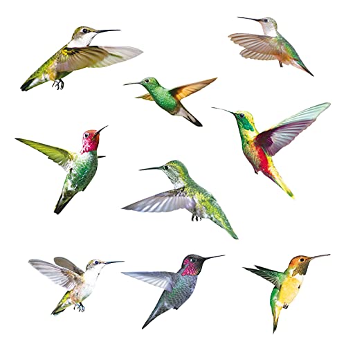 Aiyingying 9 LARGE BIRDS Beautiful Humming Birds Wall Stickers Flying Hummingbird Decals Removable For Window Bedroom Living Room Office Nursery Art Home Décor,9 Large Birds Wall Decal Animals Stickers cover