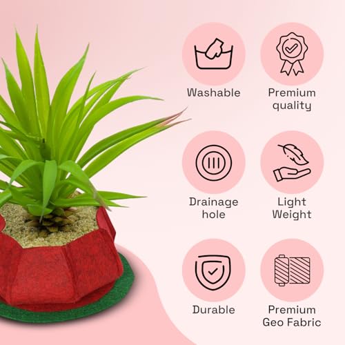 Image of Geo Fabric Grow Bags for Plants 10X3 Inch (Pack of 2) | 400 GSM Heavy Duty UV-Protected Round Maroon Colour Plant Bags for Terrace and Vegetable Gardening | Strong & Reusable|