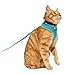 Youly by Petco Updated Mesh Cat Harness & Leash Set Teal Small/Medium