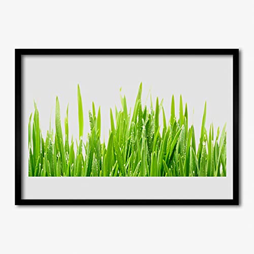 Photo nature plante herbe affiche encadrée 70x50 cm pour cuisine