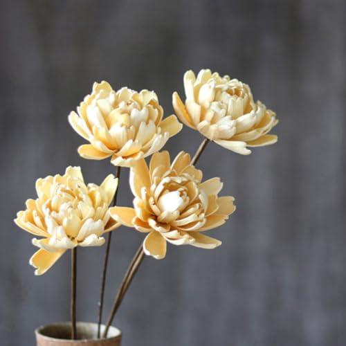 Ramillete Natural de Flores Secas Healeved 2 unidades miniatura 5