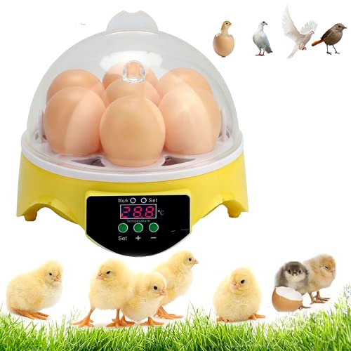 Mini Egg Incubator, Incubators for Hatching Eggs, 7 Eggs Fertile Eggs for Hatching, Eggs Hatching Machine with Temperature Control, Small Chicken Incubators Breeder for Hatching Chicken Quail Birds