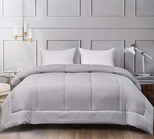 Blue Ridge Home Fashions Two-Tone Reversible Microfiber Down Alternative All Season Comforter-Hypoallergenic Polyester Fill, Full/Queen, White/Platinum #TOP2