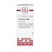 Produktbild DHU Echinacea C200 Streukügelchen, 10 g Globuli
