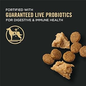 Purina Pro Plan Small Breed Weight Management Dry Dog Food, Shredded Blend Chicken and Rice Formula - 6 lb. Bag Purina Pro Plan Small Breed Weight Management Dry Dog Food Shredded Blend Chicken and Rice Formula 6 lb Bag