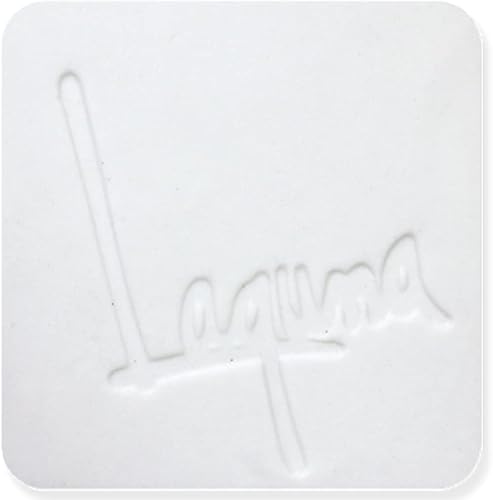 Miniatura 2 de Frost Porcelain WC437 Cono 6  Arcilla Laguna  25 libras