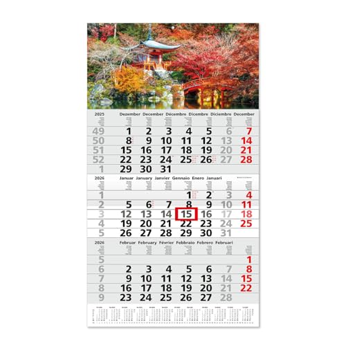 Timr calendario 3 mesi 2026 panoramica annuale 53 cm internazionale multilingue D GB F I E NL calendario da parete con cursore motivo Giappone I tr347