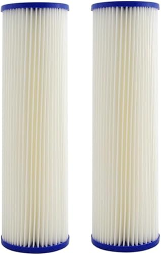 IPW Industries Inc. Postfiltro de repuesto de 0.35 submicrones para sistemas de filtro de agua para toda la casa - Paquete de 2