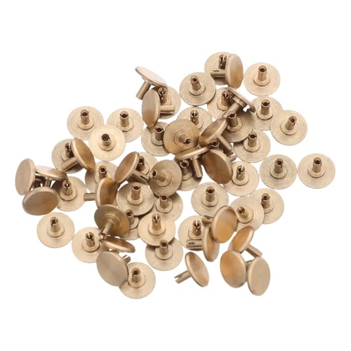 CTIRCHIU 50 Ǌ|vp bjLbv vCi ϋv̂