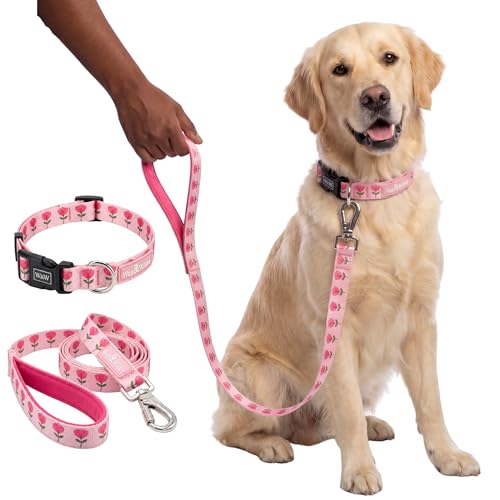 Image of Wag and Wilder Dog Collar and Leash Set Medium for Beagle, Pit Bull Terrier & Boxer - Heavy Duty Adjustable Collar & 5 FT Leash Combo, Jaipur Bloom Pink