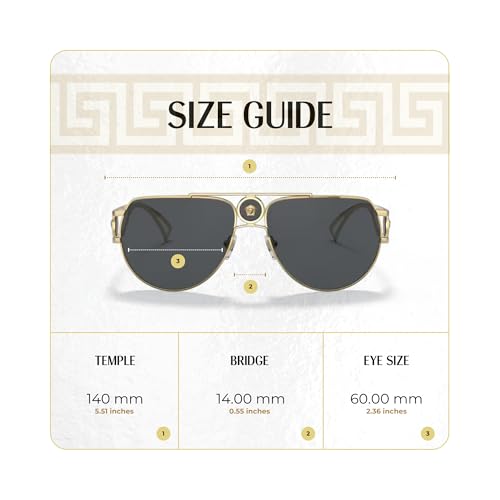 Versace VE2231 Aviator Sunglasses for Women +BUNDLE with ACCESSORY EYEWEAR KIT4