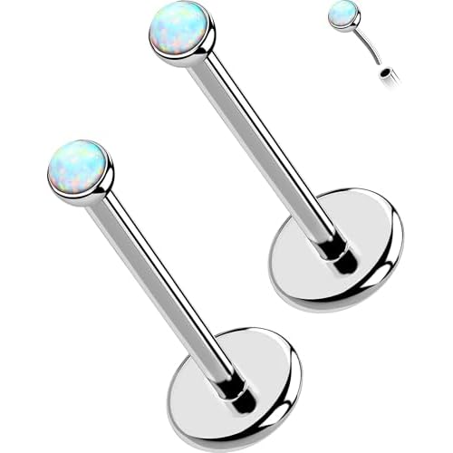OUFER 2PCS 16G/20G Nose Lip Studs, G23 Solid Titanium Threadless Push in Nose Nostril Lip Labret Medusa Monroe Helix Cartilage Tragus Conch Lobe Piercing Jewelry for Women Men Silver bar, Op