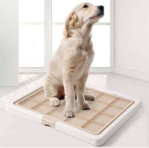 ^pgClbg̃gCgCzpgCybg//LpLTCYpvʃQ[WN[jOȒPRۃgCpgC{bNXg[jOXebv(76*62 CMČ/uh[rg[jO}bgz_[) (uE)