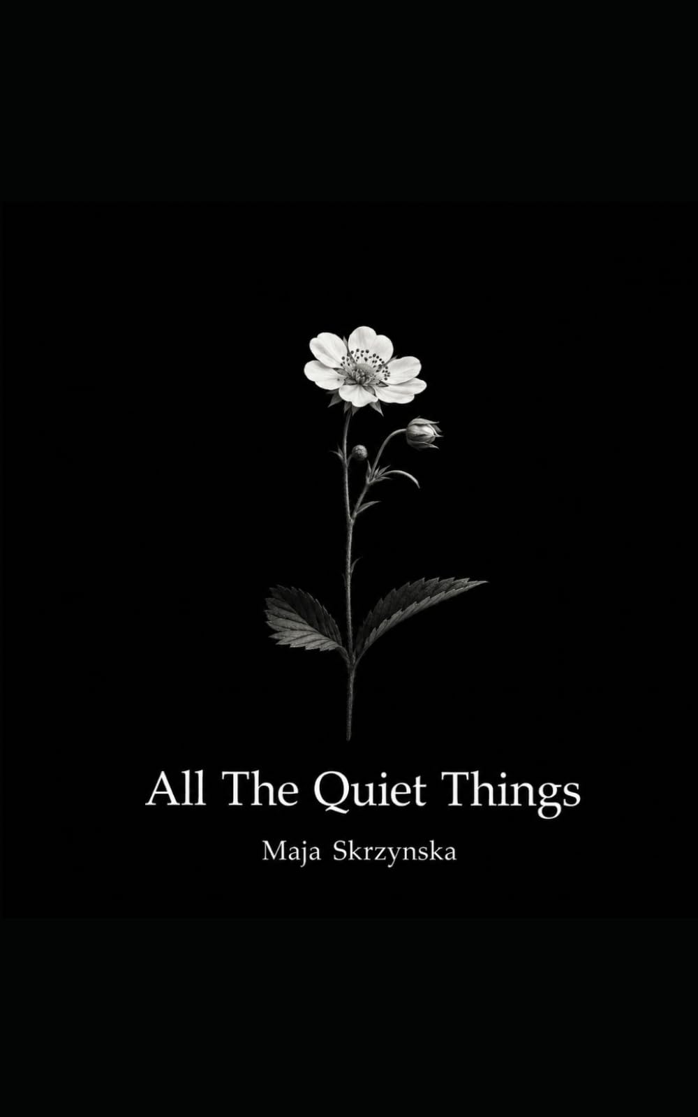 All The Quiet Things