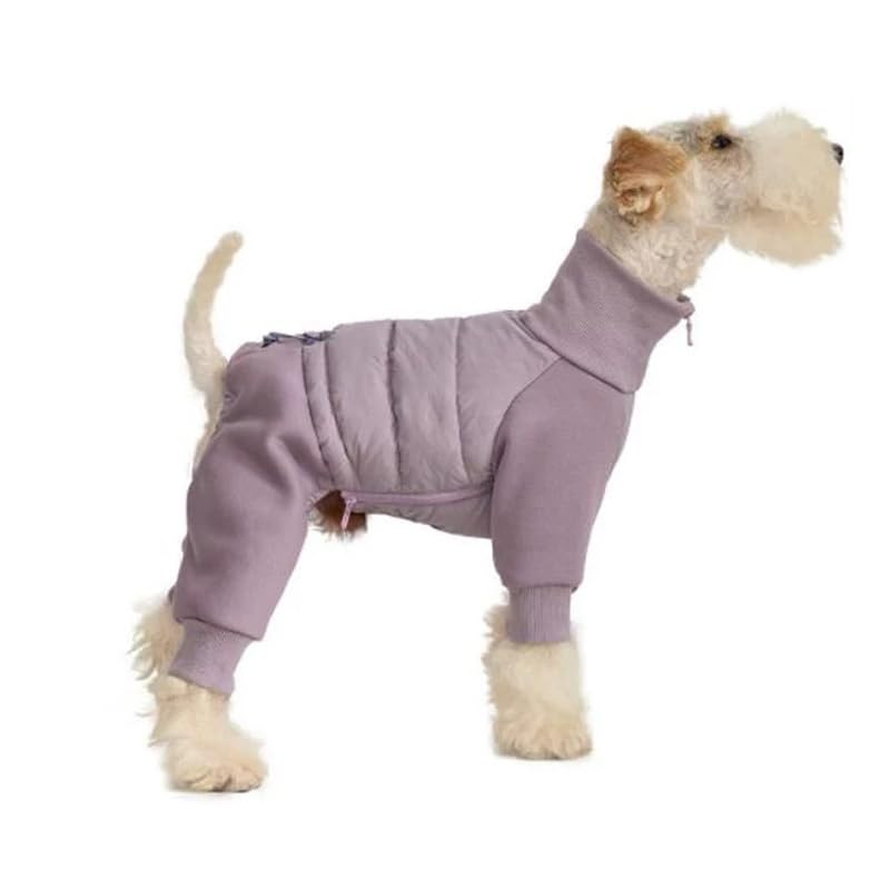 Pet Winter Bodysuit, Four-Leg Protection Dog Coat,Whippet Italian Greyhound Outdoor Winter Warm Jacket Coat (Purple, L)