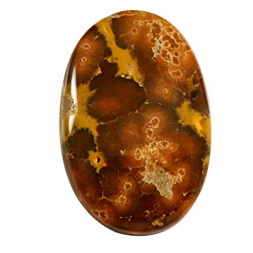 Jaspe océan véritable de 25,95 ct, pierre de collection ovale Od84