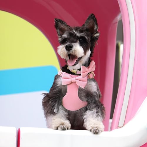 Beirui Cute Small Dog Harness Collar and Leash Set, Pink,XS,Chest 13-28" | For Small Dogs Puppy, Three Detachable Bows, Adjustable Step-in Vest, Mini Poodle, Maltese, For Daily Walking Holiday Outfits - Image 7
