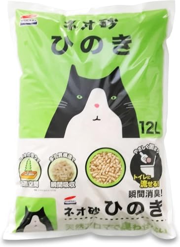 L 12L lI E[ Ct lIqmL