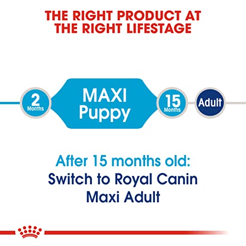 Image of Royal Canin Maxi Puppy Food, Dry Food, Supports Immune System & digestive health, Provides Long growth, moderate energy, 4 Kg