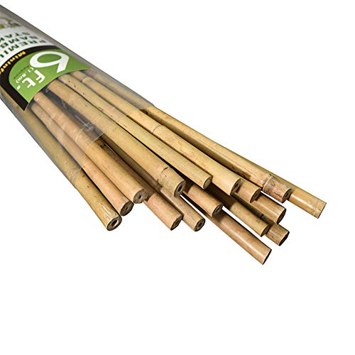 Mininfa Natural Bamboo Stakes 6 Feet, EcoFriendly Garden Stakes, Plant