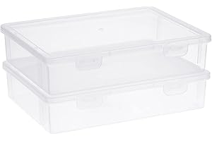 Clear Plastic Storage Box with Hinged Lid - 2 Pack