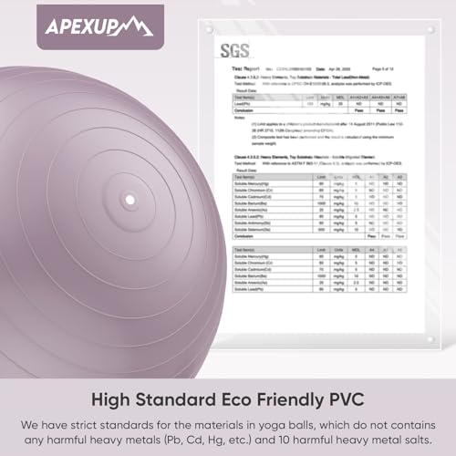 Image of APEXUP Yoga Ball, 660 lbs Anti-Burst Exercise Ball with Pump, 5 Sizes | Anti-Burst, Anti-Slip, SGS Certified, Strengthens Core, Improves Balance & Posture, Boosts Flexibility & Stability