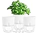 Hydrox Kräutertopf mit Bewässerungssystem | Blumentopf mit Selbstbewässerung | 3er Set Weiß, Ø 15,5 Groß