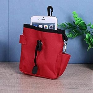 AGHH Huisdierendrager Draagbare Hondentassen Hond Training Retail Kleine Draagbare Snack Opknoping Waterdichte Tas met Clicker Heuptassen voor Katten en Kleine Honden (Color : Red, Size : M)