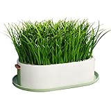 Genérico Bandeja de Cultivo de Hierba para Gatos | Maceta de Cultivo Hidropónico | Recipiente para Hierba para Gatos,para Tentempié de Mascotas Hogar Interior Escritorio Jaula