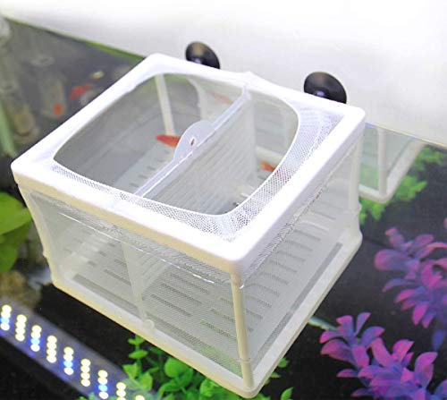 Senzeal Aquarium Fish Breeder Box Fish Fry Hatchery Incubator Net Nylon Isolation Mesh with 3pcs Pipette(Small)