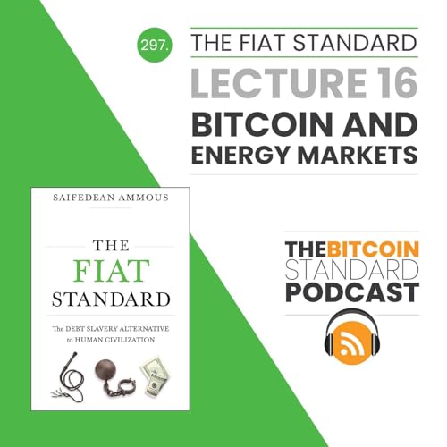 297. The Fiat Standard Lecture 16: Bitcoin and Energy Markets