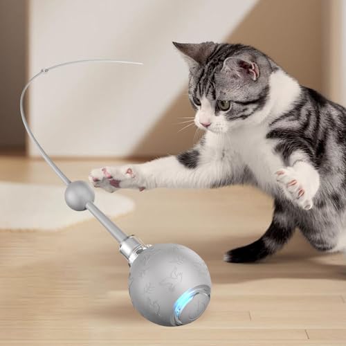Jouet de balle interactive pour chat avec queue plume mobile et 3 modes de jeu stimulants - 4