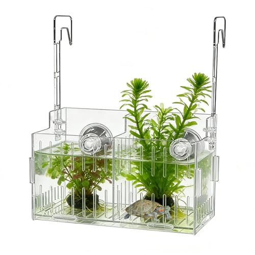 Aquarium Plant Holder For Fish - Aquarium Plants Holders | Double-Hook Hydroponic Planter | Transparent Acrylic Adjustable Heigh