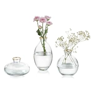 Glasseam Gold Rim Glass Bud Vase, 3Pcs/Set Modern Decorative Small Mini Flowers Vases Short Minimalist Aesthetic Home Decor Vintage Cute Handmade Tiny Wedding Table Centerpieces for Single Flower Rose