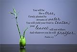 You will be like a tree, firmly planted by streams of water You will yield your fruit in season;...