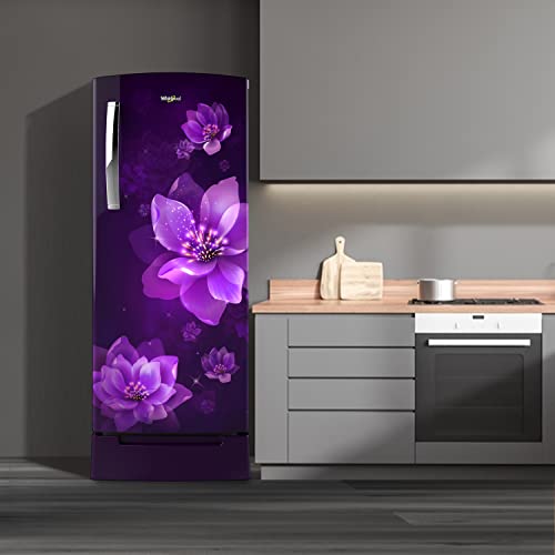 Image of Whirlpool Ice Magic PRO 200 L 3 Star Direct-Cool Single Door Refrigerator (215 IMPRO ROY 3S, PURPLE MULIA)