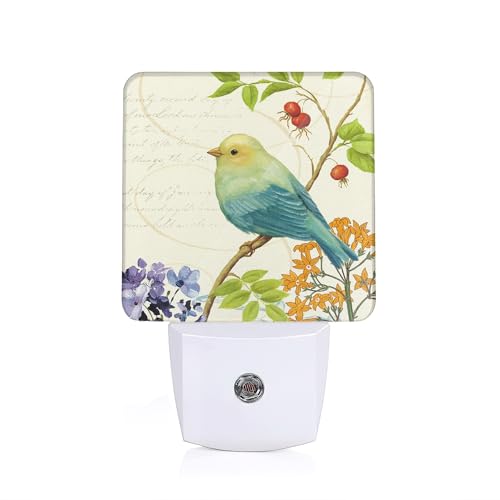 Bird Flower Night Light, Vintage Watercolor Bird Flower Night Lights Plug Into Wall with Dusk To Dawn Sensor Wall Lamp, Nightlights For Bedroom, Bathroom, Hallway, Kitchen, Gifts Ideal For Girls Women