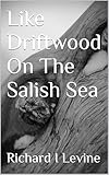 Like Driftwood On The Salish Sea : a small town romance