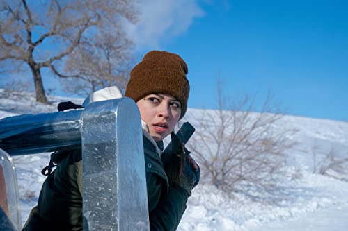 4. Bild von Neeson, Liam The Ice Road (Deutsch/OV)