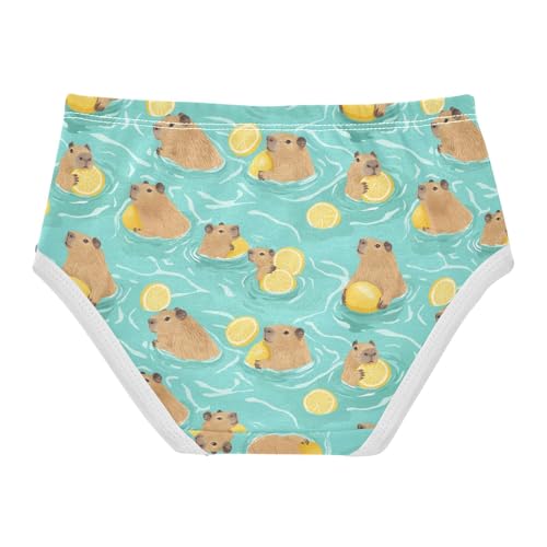 Girls Underwear Soft Cotton Capybara Lemon Kids Panties in Sizes 2/3t, 4t, 5t, 6 and 82