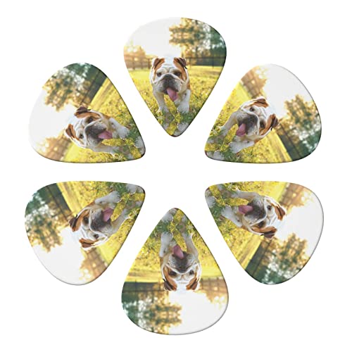 Cute Bulldog Puppy Lot de 6 médiators pour guitare acoustique, guitare électrique, basse, ukulélé – fin, moyen et épais. - Les Beatles, Paul McCartney, John Lennon, RIngo Starr, George Harrison Cute Bulldog Puppy Lot de 6 médiators pour guitare acoustique, guitare électrique, basse, ukulélé – fin, moyen et épais. – Image 5
