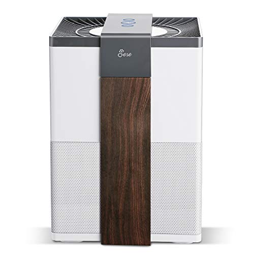 Jese Air Purifier for Bedroom,Desk Air Purifier with 3-in-1 True HEPA Filter, Air Purifiers for Allergies and Pets,Eliminate Formaldehyde, Dust & Smoke,Small Air Purifier Quiet Jese Air Purifier for Bedroom,Desk Air Purifier with 3-in-1 True HEPA Filter, Air Purifiers for Allergies and Pets,Eliminate Formaldehyde, Dust & Smoke,Small Air Purifier Quiet