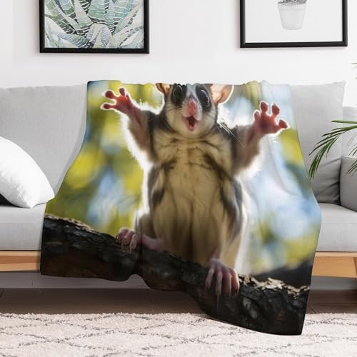 Couverture motif planeur de sucre impression 3D idée cadeau originale - 3