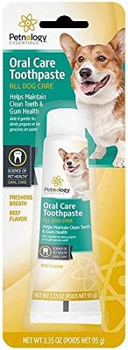 Franks Deals® Petnology Toothpaste Beef Flavor 3.35oz