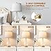 QiMH Glass Table Lamps for Living Room, Bedside Lamps Set of 2 with USB A+C Charging Ports, 3 Way Dimmable Touch Lamps for Nightstand, 22.5