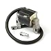 Briggs & Stratton 591459 Ignition Coil