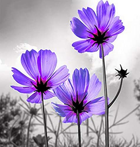 Peinture au diamant 5D fleur violette pour décoration murale salon et broderie diamant adulte