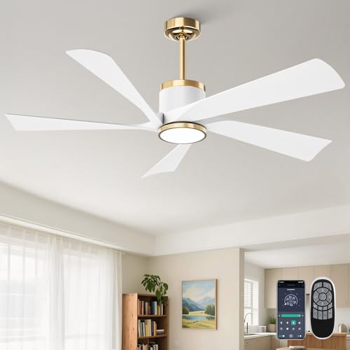 TXCSLY 52" Ceiling Fans with Lights and Remote, Modern Ceiling